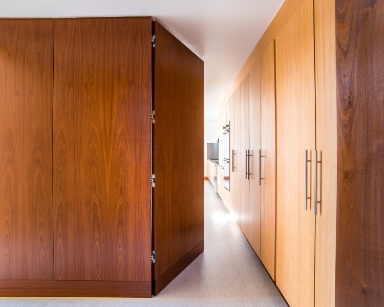 Mahogany-wall-panel-and-door