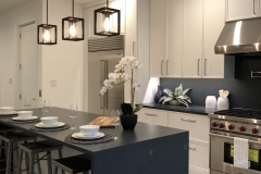 Custom-kitchen-Philadelphia